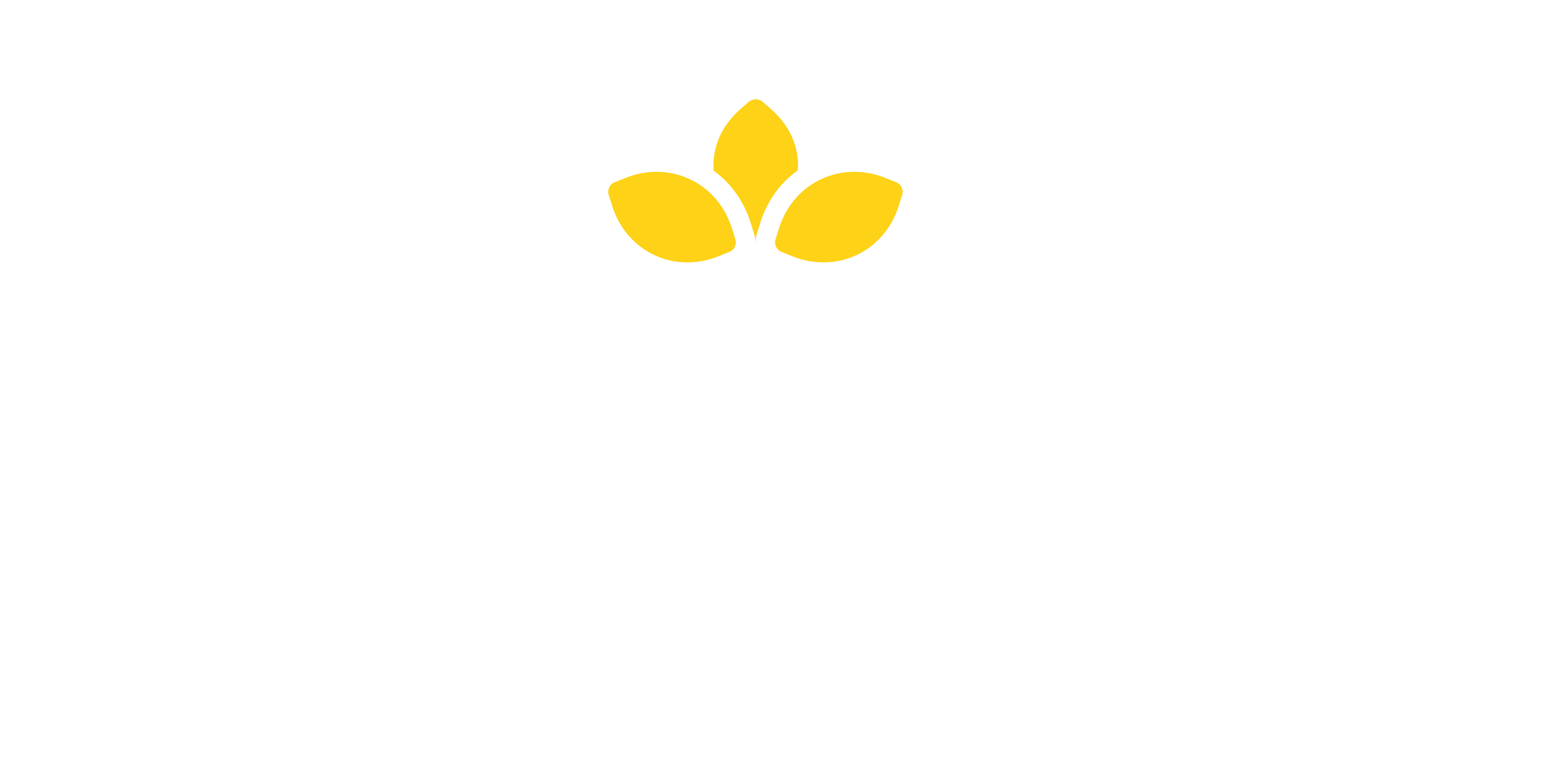 Logo Nilpon Direita